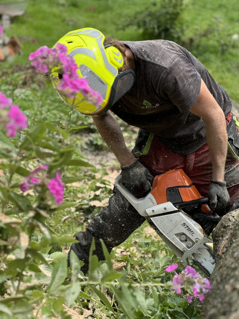 Špalkování rizikově pokáceného stromu firmou KaposGreen